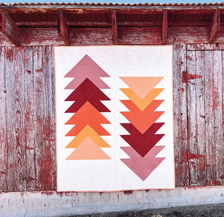 Cozy Quilts for the Modern Home