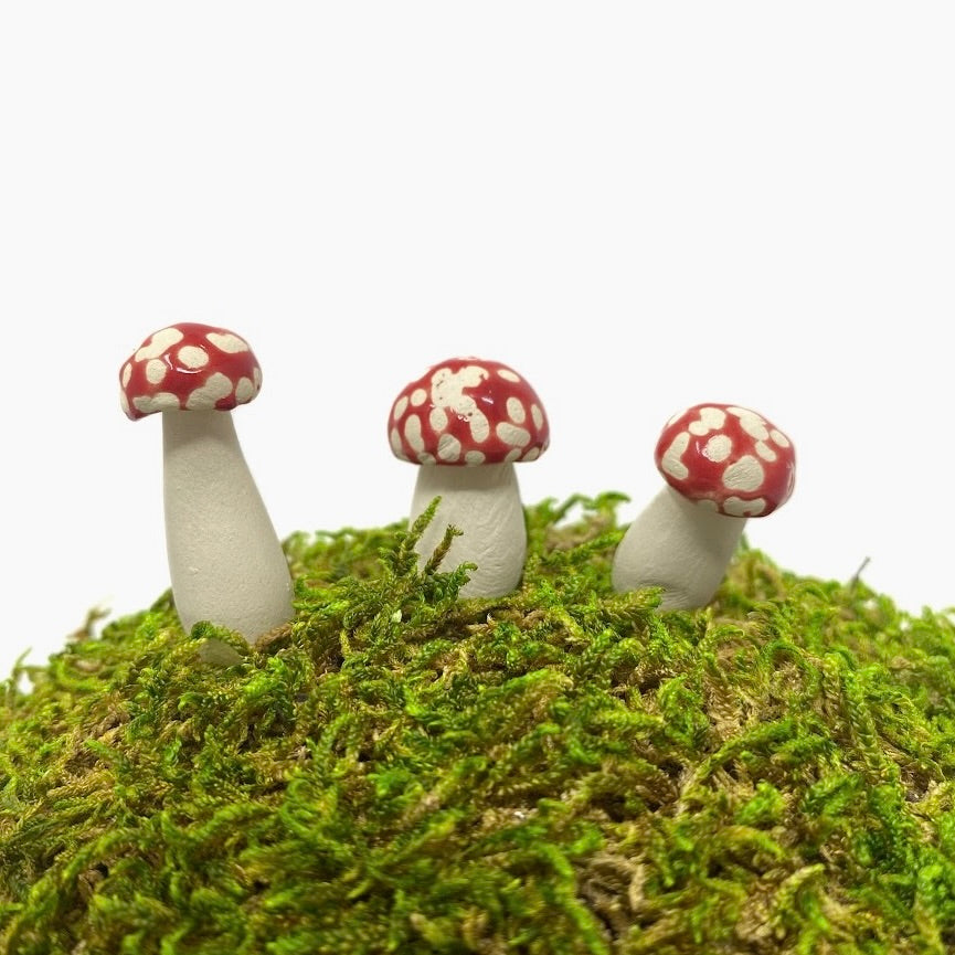 Mini Ceramic Mushrooms