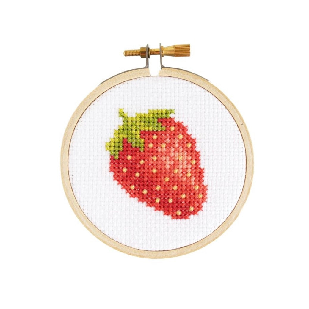 Beginning Cross Stitch Class
