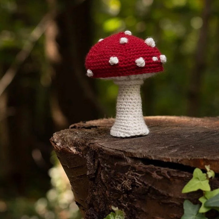 Mini Toadstool Crochet Kit