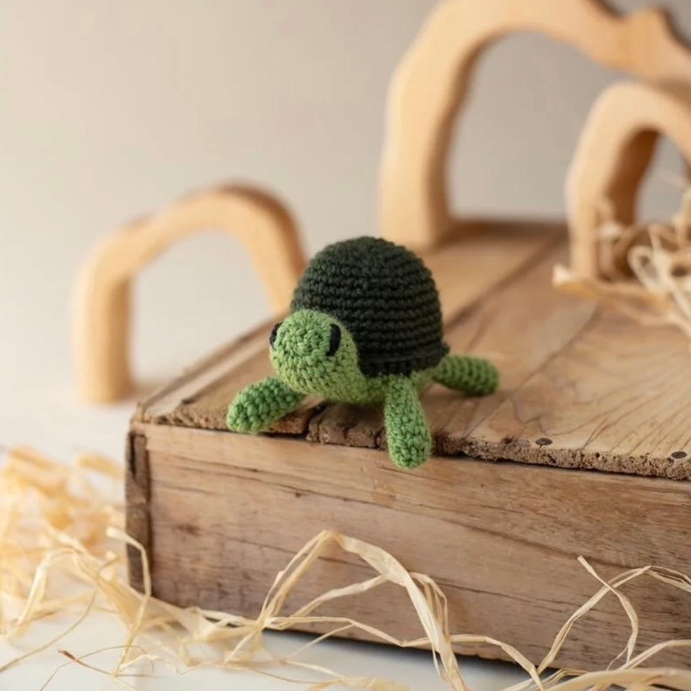 Mini Tortoises Crochet Kit