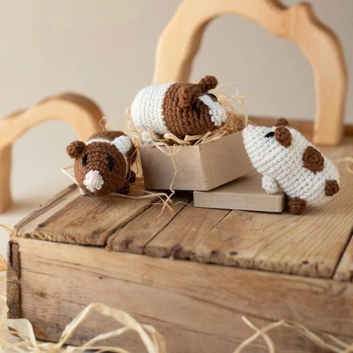 Mini Guinea Pigs Crochet Kit