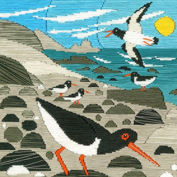 Long Stitch Oystercatchers