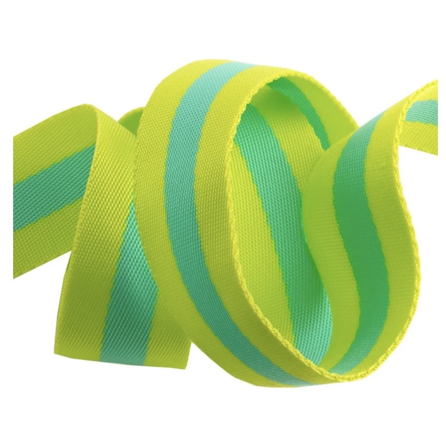Tula Pink Webbing 1.5 in - Lime & Turquoise