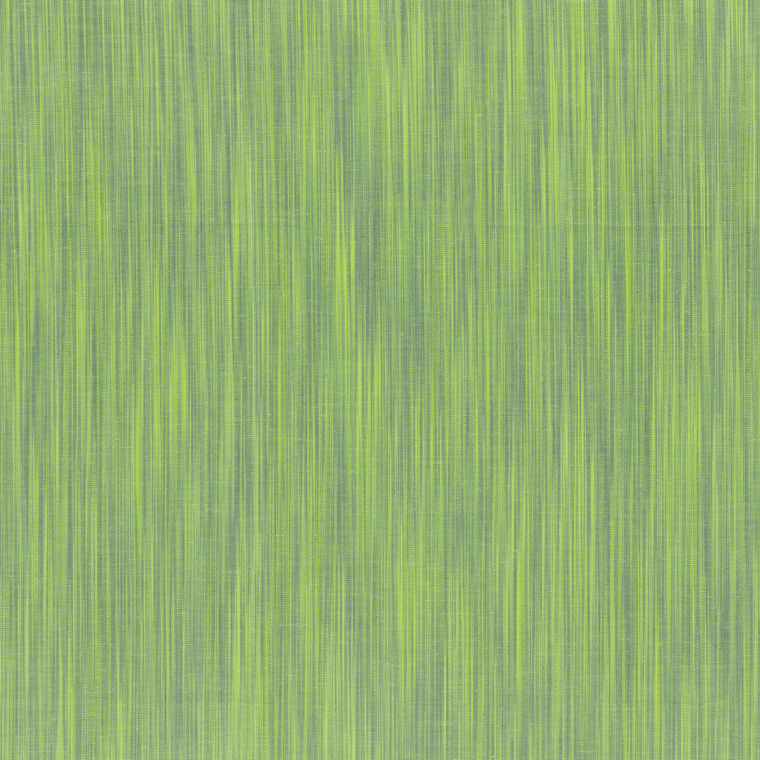 Space Dyed Wovens by the 1/4 Yard - Pistachio