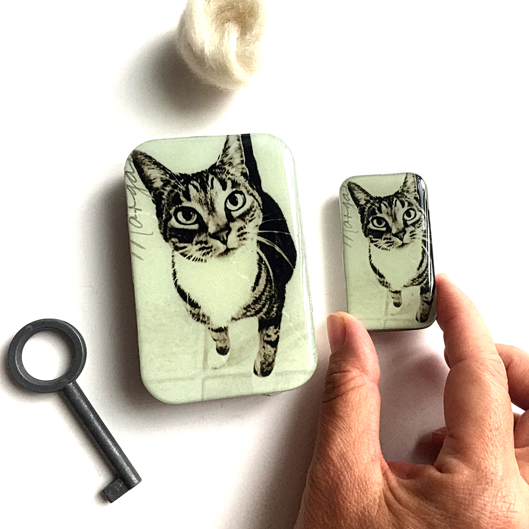 Cat Notions Tin