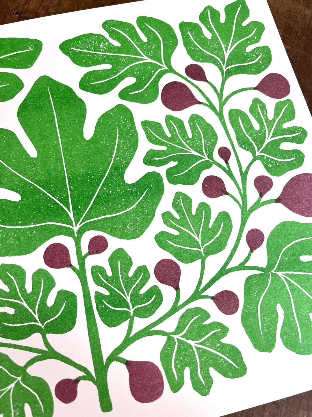 Garden Series: Fig Risograph Print