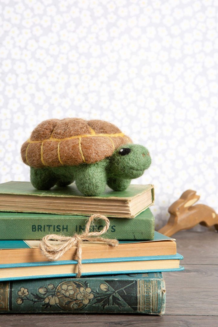 Tortoise Needle Felting Kit