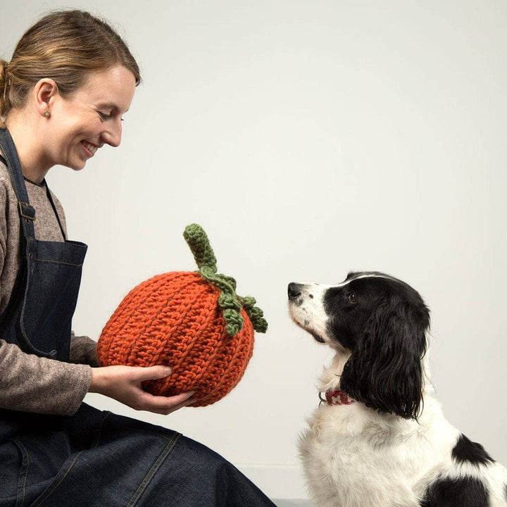 Pumpkin Trio Crochet Kit