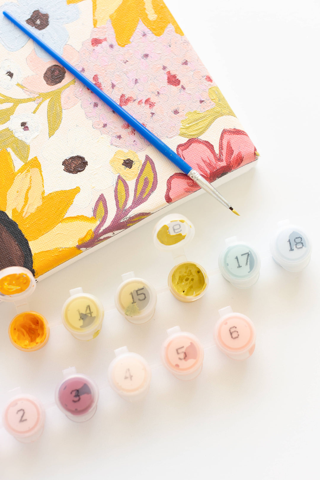 Rainbow Garden Paint By Number Kit