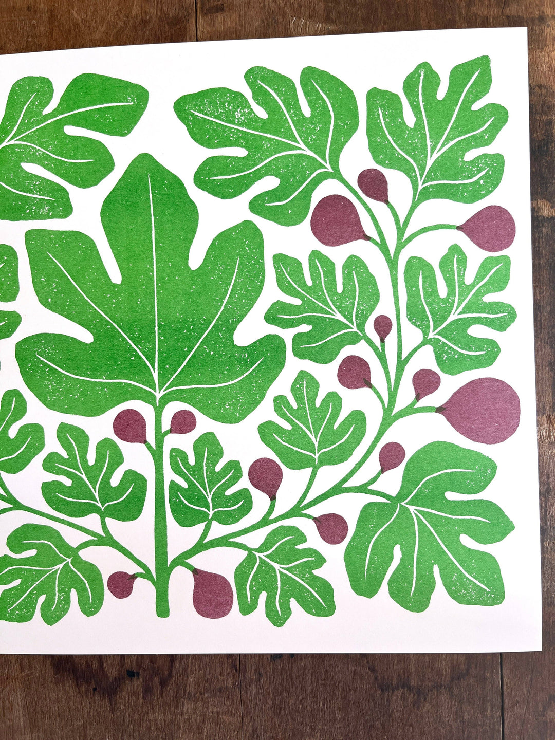 Garden Series: Fig Risograph Print