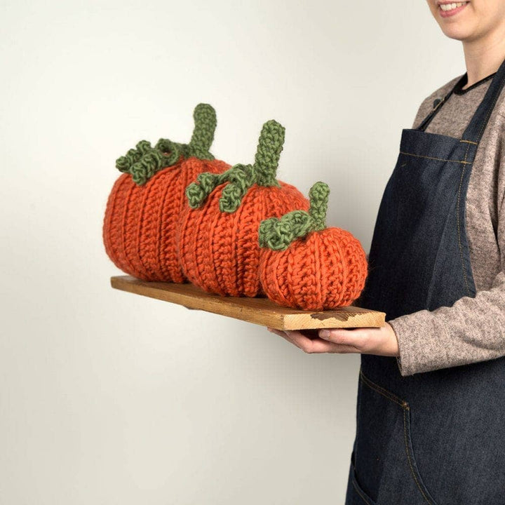 Pumpkin Trio Crochet Kit