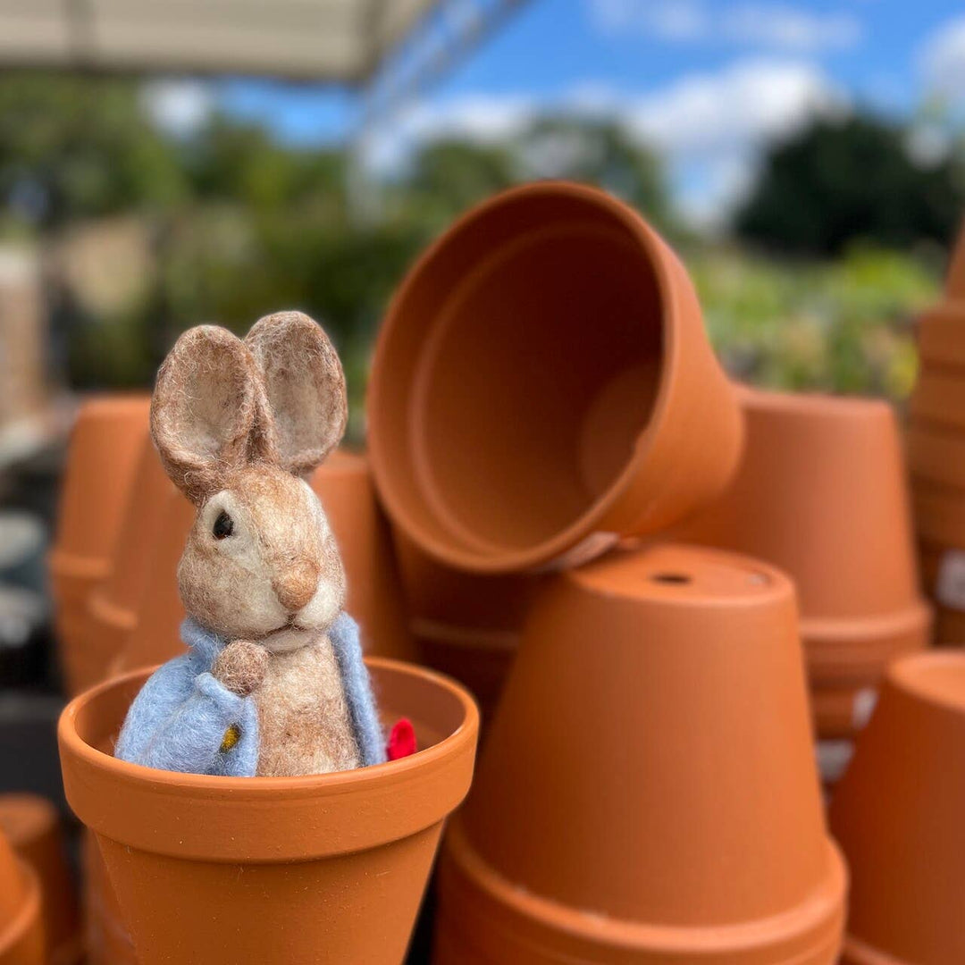 Beatrix Potter - Peter Rabbit