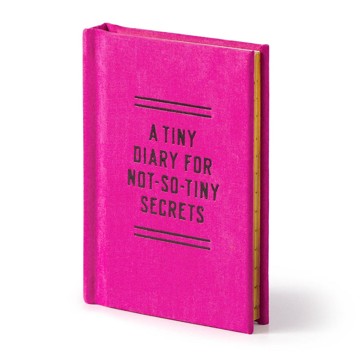 Tiny Diary for Not So Tiny Secrets