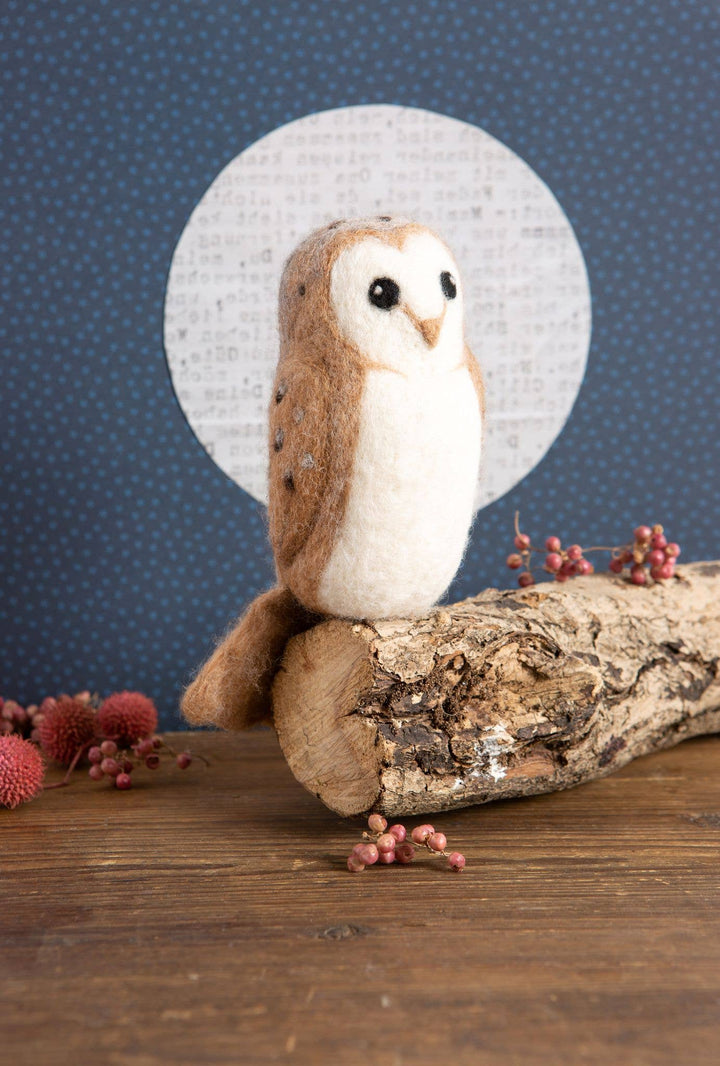 Barn Owl Needle Felting Kit