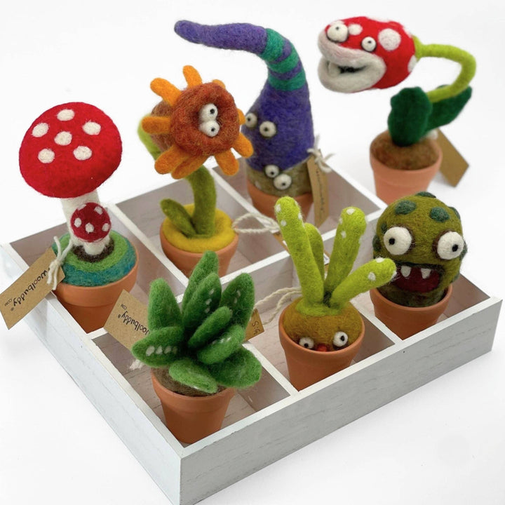 Needle Felting Cactus Kit