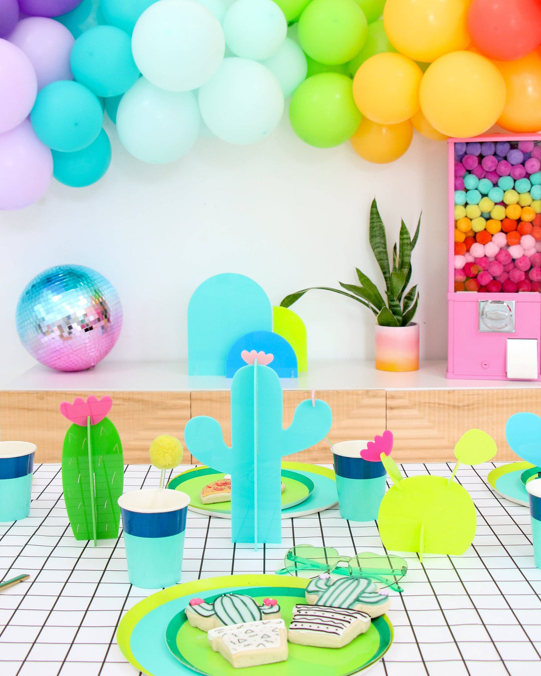 Acrylic cactus set