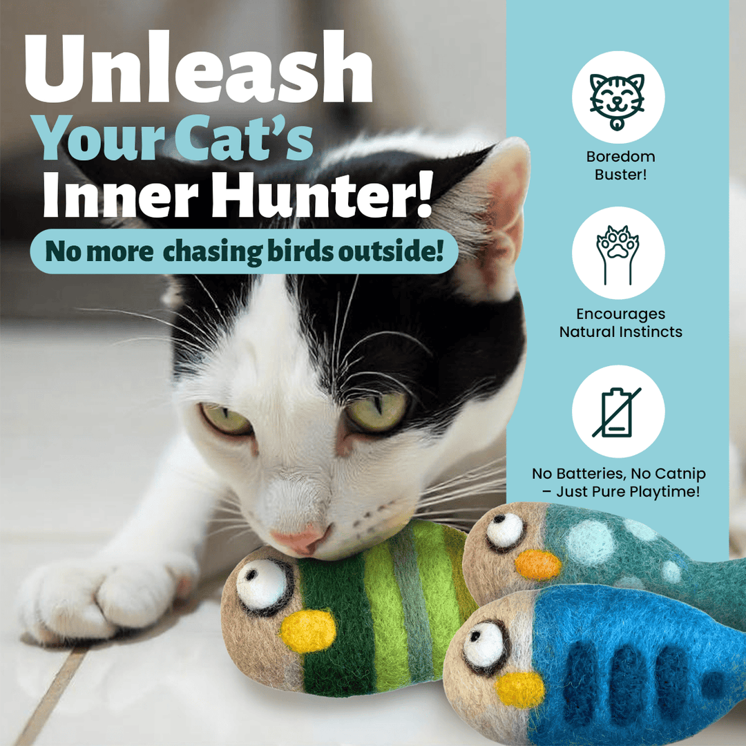 Woolbuddy Felted Fish Cat Toy