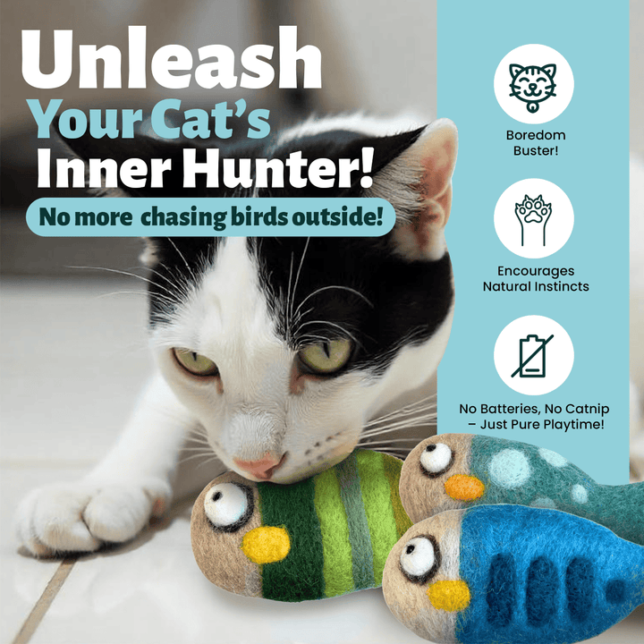 Woolbuddy Felted Fish Cat Toy