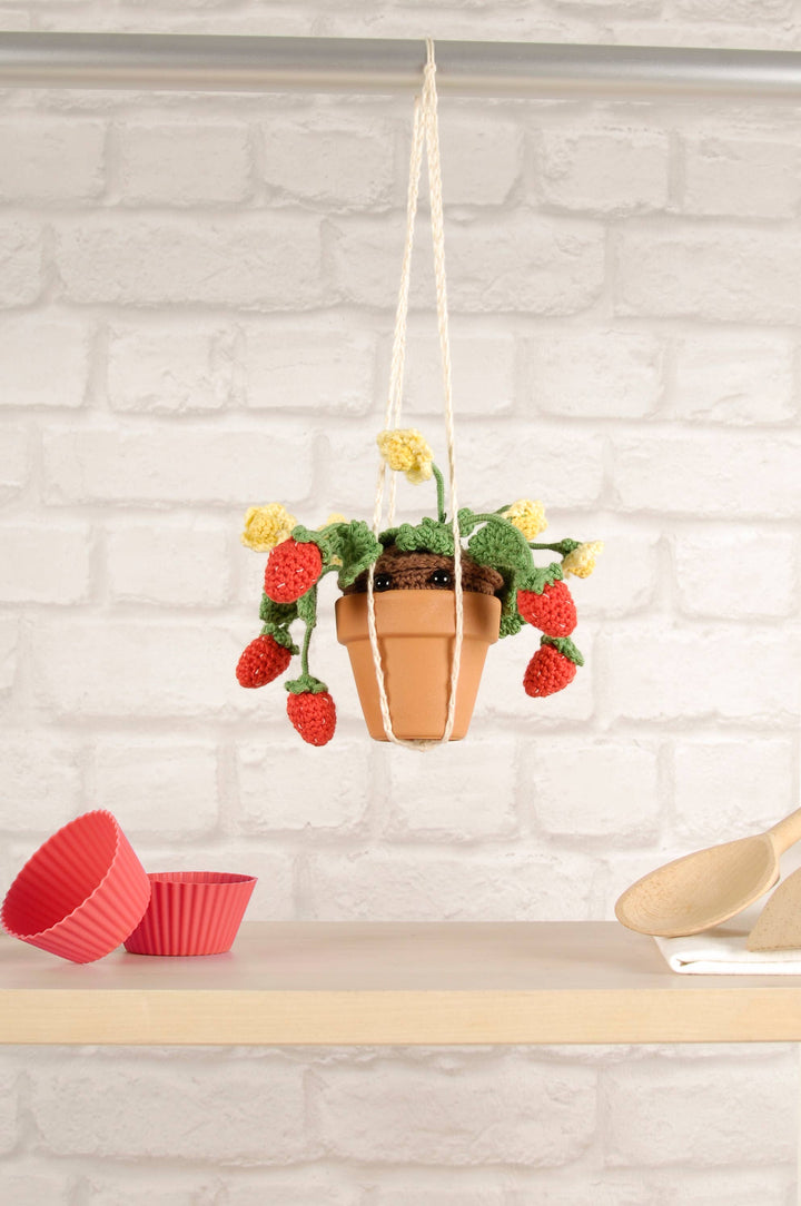 NEW DMC Summer Strawberries Amigurumi Kit