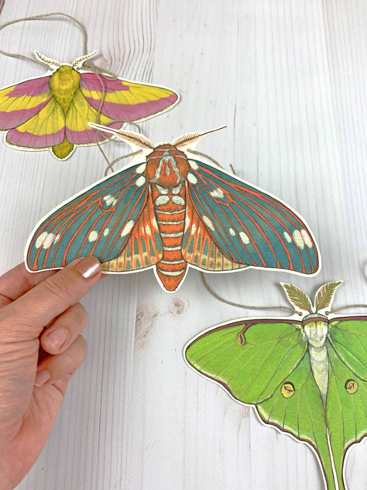 Colorful Moth Illustrated Garland