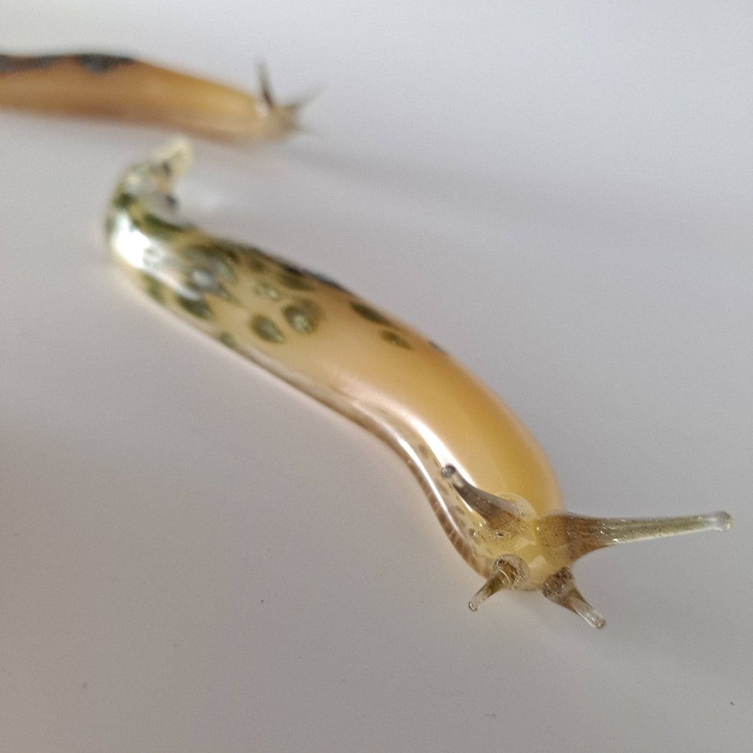 Glass Banana Slug