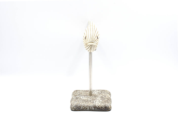 Handcrafted Porcelain Fish Black Dotted Stripe