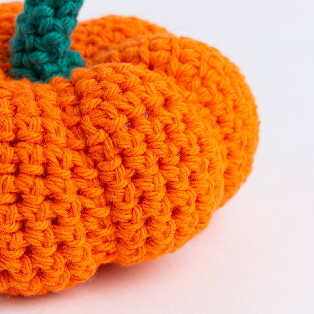 My Pocket Pumpkin Easy Crochet Kit