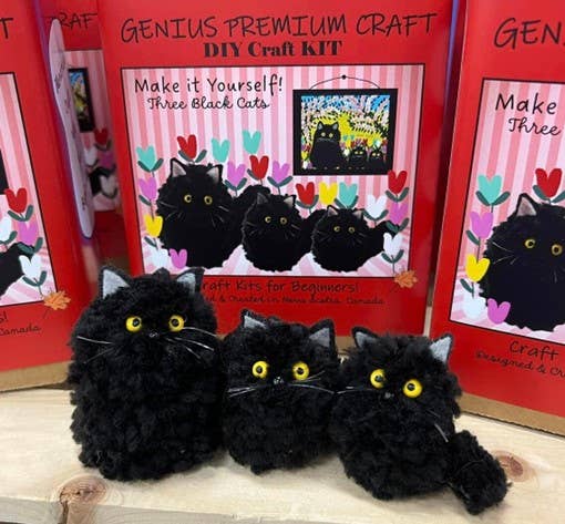 Black Cat Pom Pom Kit