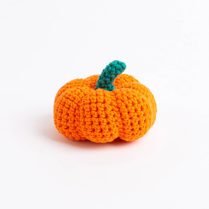 My Pocket Pumpkin Easy Crochet Kit