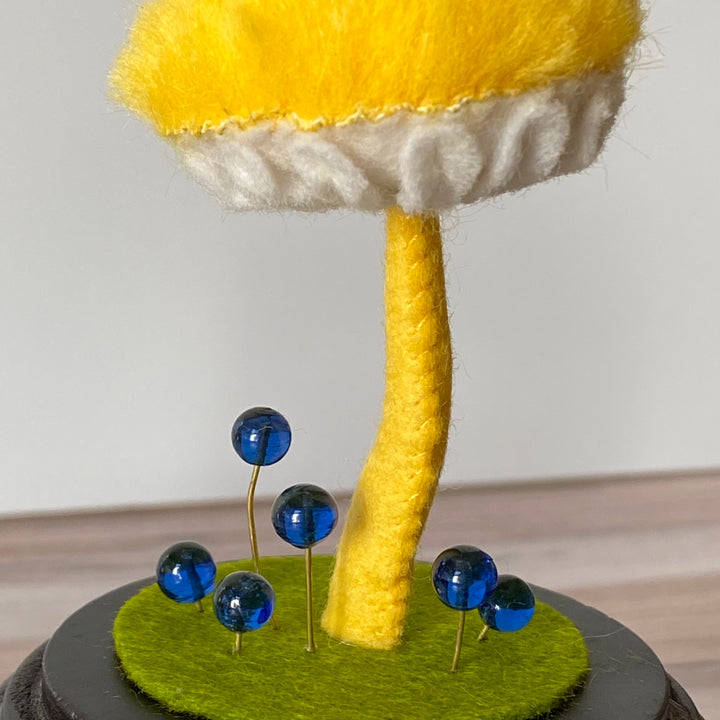 Cyptotrama Aspratum Mushroom Cloche
