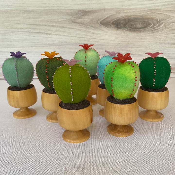 Barrel Cactus Pincushion